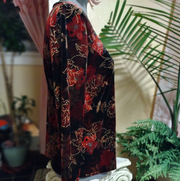 Elegant Velvet Floral Top - Picture 2 of 10